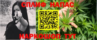 прущие грибы Шахты